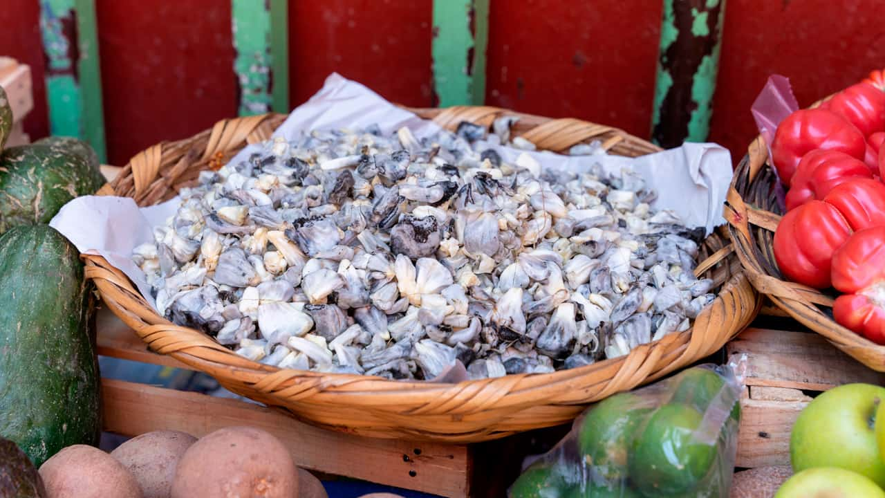 recetas con huitlacoche