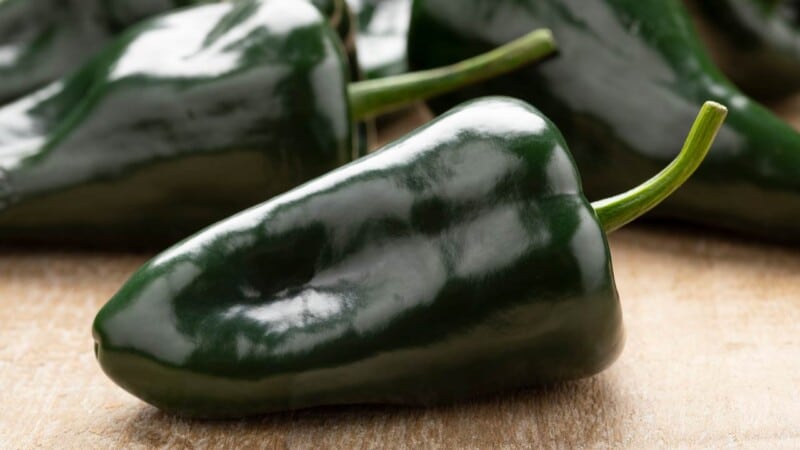 chile poblano