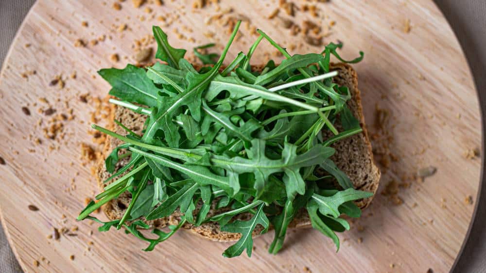 recetas con arugula